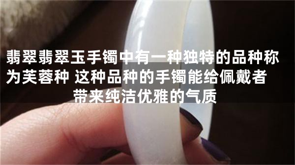 翡翠翡翠玉手镯中有一种独特的品种称为芙蓉种 这种品种的手镯能给佩戴者带来纯洁优雅的气质