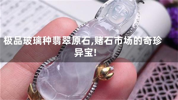 极品玻璃种翡翠原石,赌石市场的奇珍异宝!