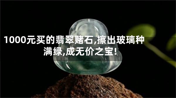 1000元买的翡翠赌石,擦出玻璃种满绿,成无价之宝!