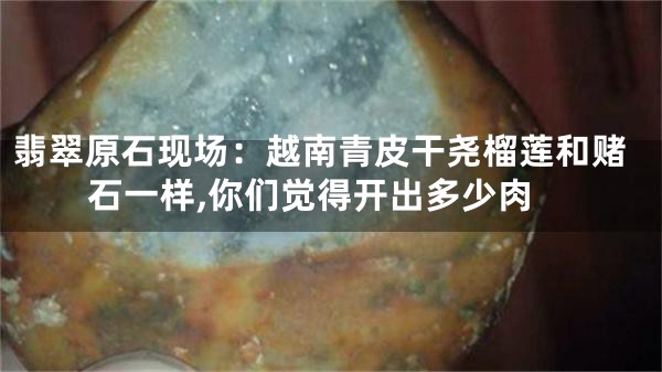 翡翠原石现场：越南青皮干尧榴莲和赌石一样,你们觉得开出多少肉