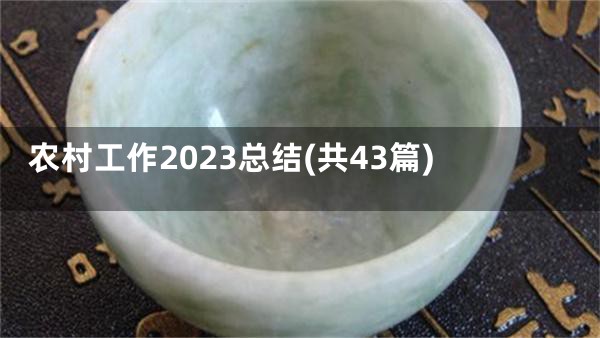 农村工作2023总结(共43篇)